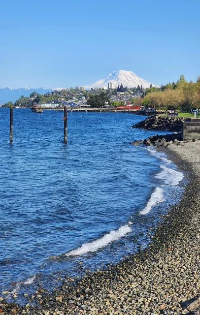 Half-Day Trip to Tacoma with My Dog 🐾🏔️
