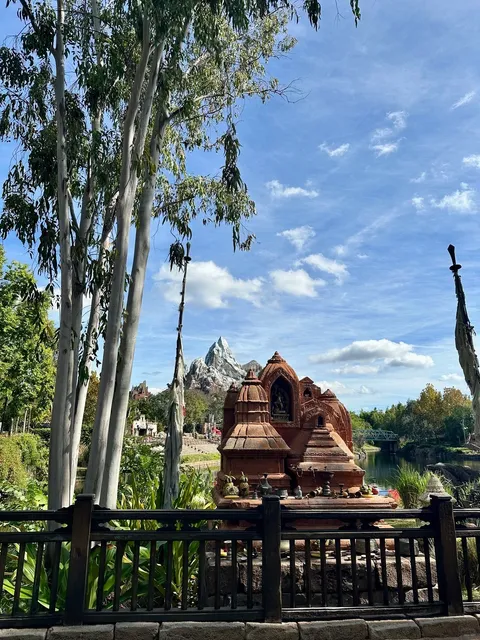 Orlando Disney — My Honest Ride Reviews 🎢✨