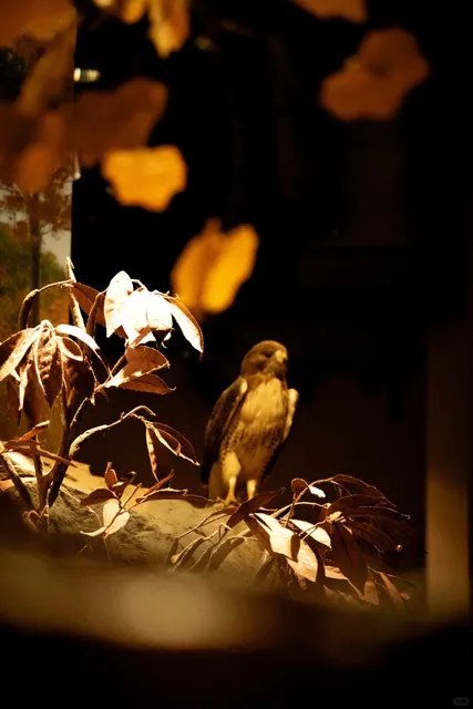 Arrival of Autumn: Atlanta's Prehistoric Era