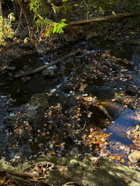 Toronto Surroundings | Hilton Falls Mini Waterfall Hike🚶