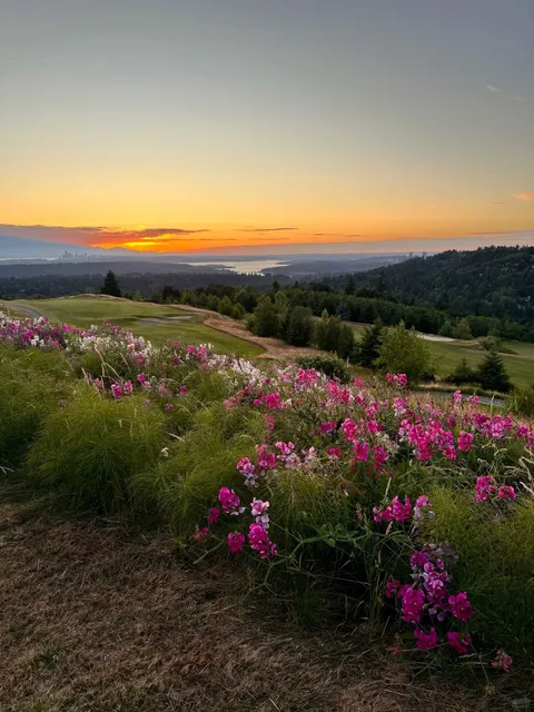 ​​The Golf Club at Newcastle | Bellevue's Sunset Sanctuary 🌅🌸​​
