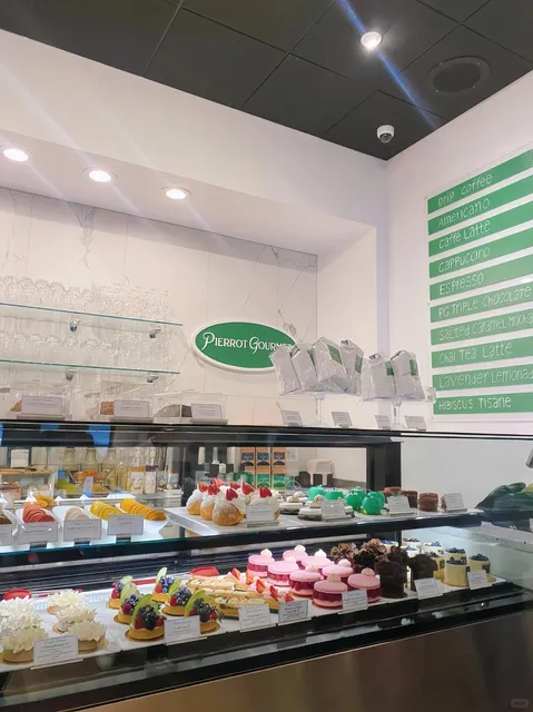 📍 Just Back from Chicago — Survival Guide & Must-Know Tips 