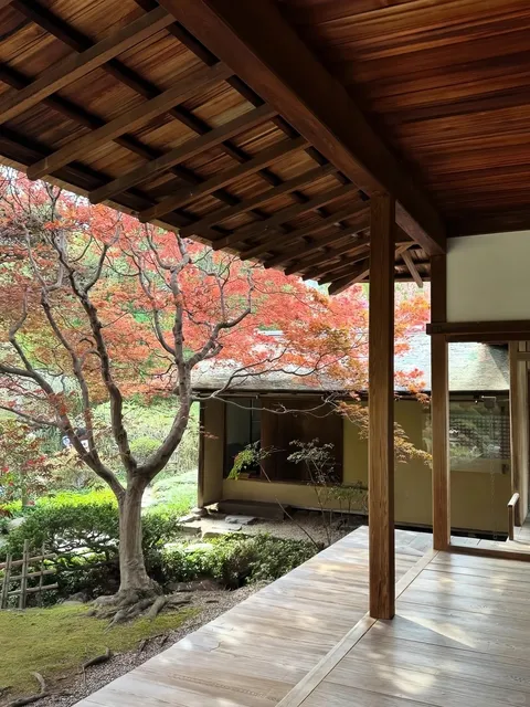 5 Must-Visit Hidden Gems in Philadelphia You Don’t Want to Miss! 