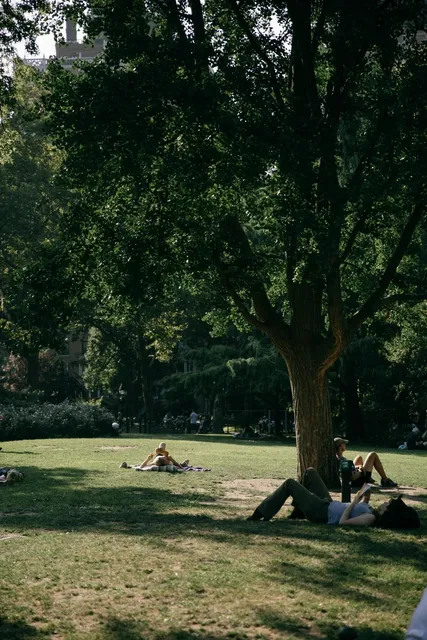 New York Washington Square Park | Fountain, Fanta, Fantasie (2)🌳