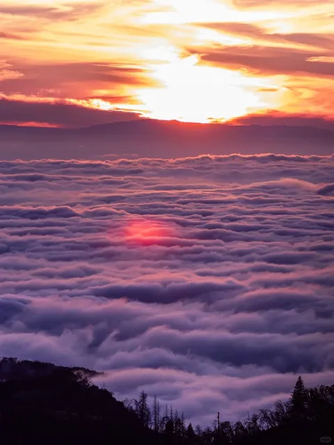 Don’t Miss the Sea of Clouds at Sequoia – No Hiking Required! 🌄✨  
