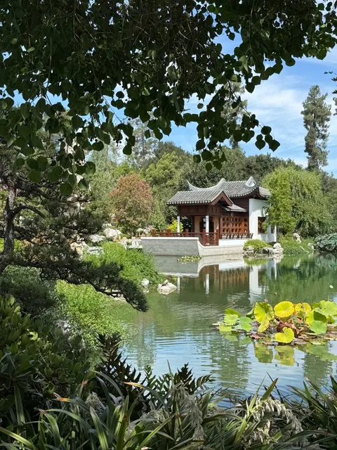🎨 Exhibition Diary | A Hidden Chinese Garden in Los Angeles 🎨