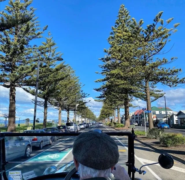 Napier, NZ: The Ultimate Hidden Gem Guide 🚗🍷