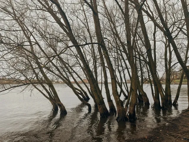  Edgbaston Reservoir: Birmingham's Urban Lakeside Escape.🌊