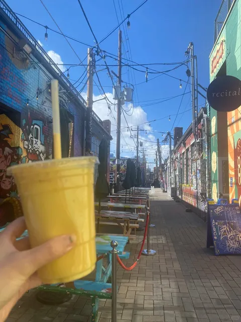 Denver Travel Guide ✈️🏔️