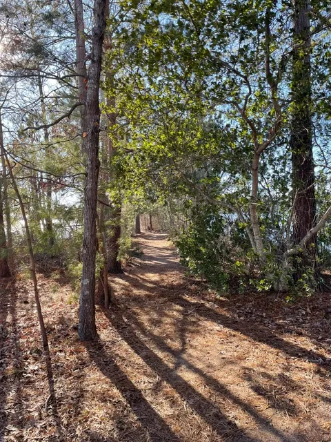 🌊 Jetton Park: Charlotte’s Lakeside Sanctuary for the Soul