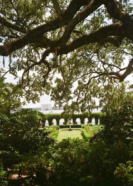 Where Freedom Meets the Waves 