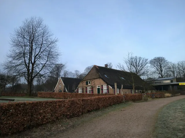 🇳🇱 Arnhem's Hidden Gem: De Hoge Veluwe National Park