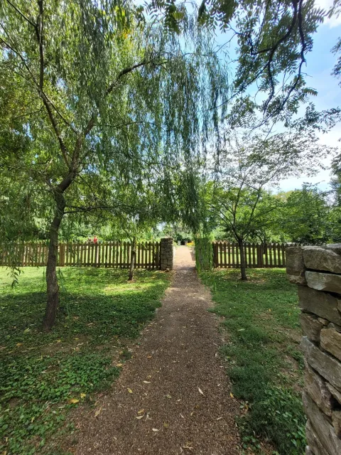 Southern Historic Charm – A Must-Visit! 🌸🏛️