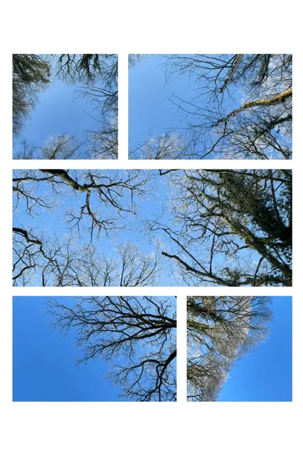 Winter Escape: Historic Metz & Playful Amnéville ❄️🚗