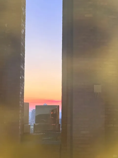 🇩🇪 Did Frankfurt use up all its sunshine this week?! ☀️