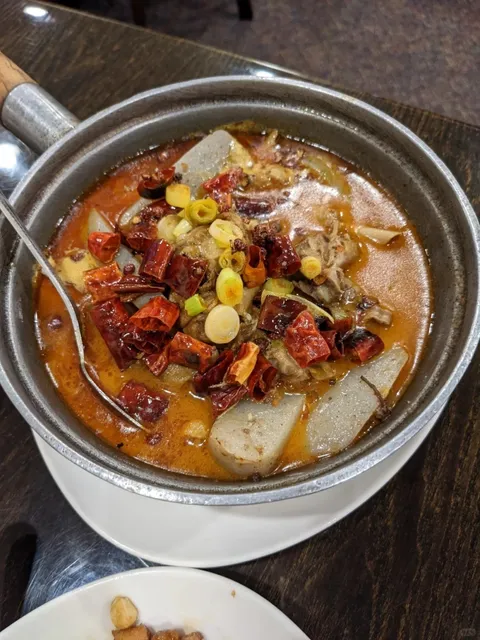 🌶️ Chong Qing Shi Fu in Worcester, MA – Finally Tried It! 🎉