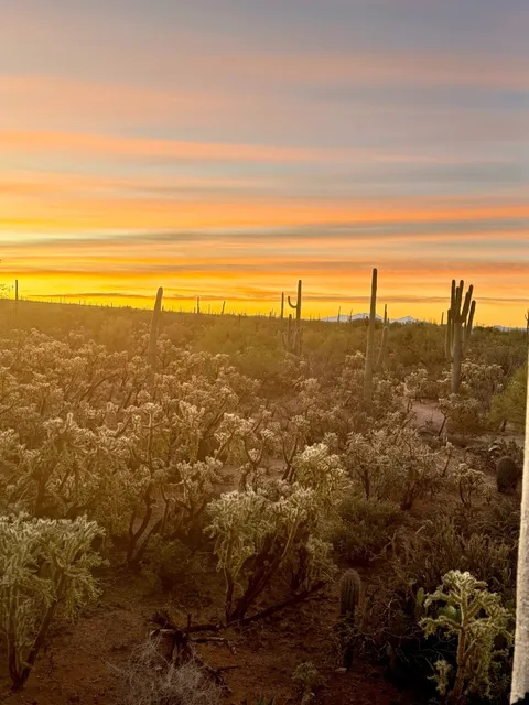 AZ Dreamy & Breathtaking Cactus Oasis Hotel 🌞🌵✨🏜️