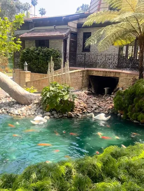 A Magical Park in Los Angeles 🌿✨