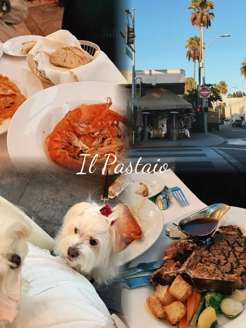 Il Pastaio｜Is Justin Bieber’s Signature Pasta Really That Good? 🍴