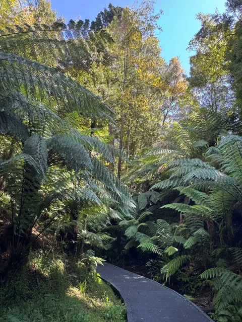 Mackay Botanic Gardens: A Lush Tropical Paradise 🌿🌸