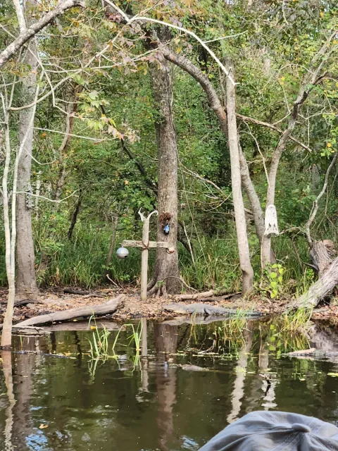 Cultural Genius & Stellar Service! 🚌👑