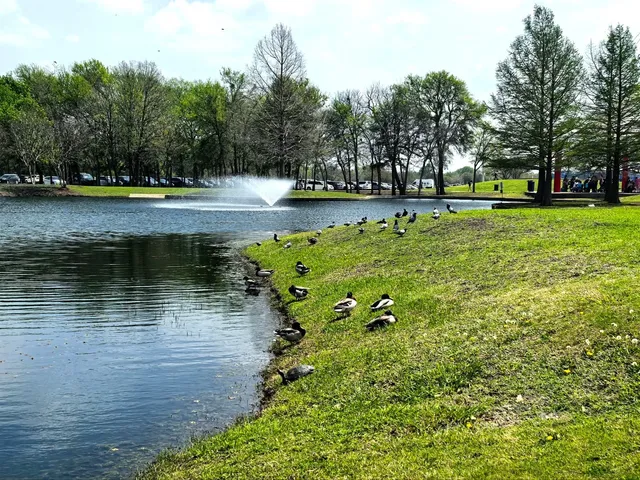 🌿 Weekend Gathering & Duck Egg Discovery | Allen’s Hidden Gem Park  