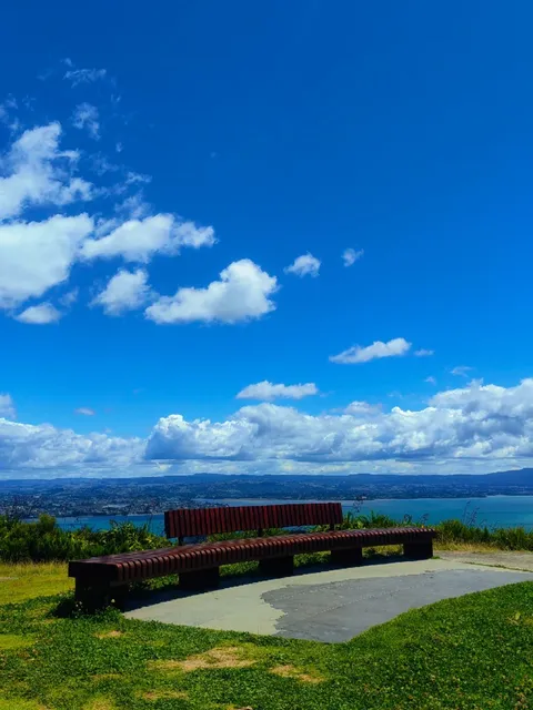 Tauranga Travel Guide 🇳🇿  