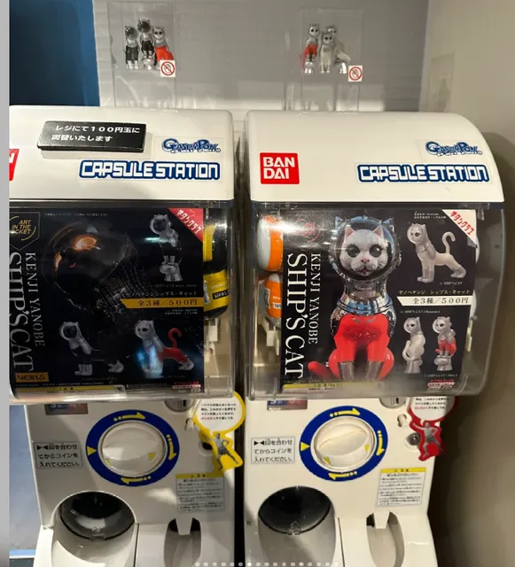 Tokyo, Cat Explosion X Taro Okamoto Memorial Museum (3)🐱