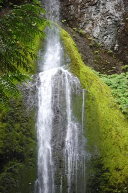 Seattle travel guide--Marymere Falls