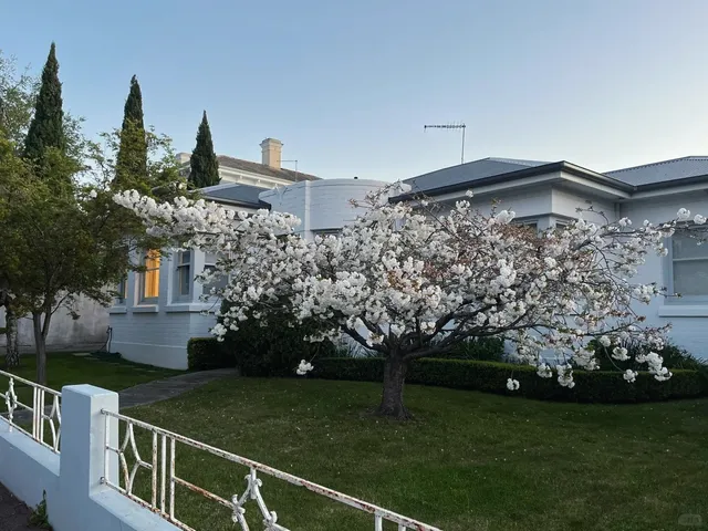 🇦🇺 Launceston Day Trip | Cradle Mountain & Winterfell Vibes