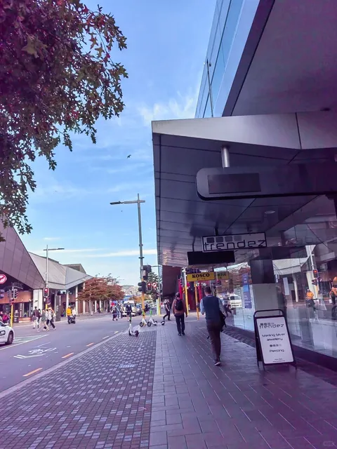 🇳🇿 Christchurch | God's Backyard Garden Diary 🌸✨