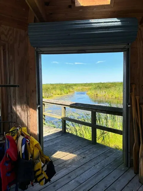 🇨🇦 ​​Point Pelee: Canada’s Southernmost Nature Paradise!​​ 🌿🦅
