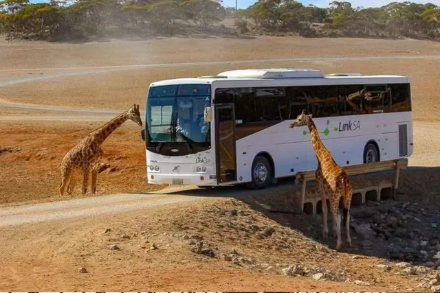 Ad is not bored |⏱️🧭