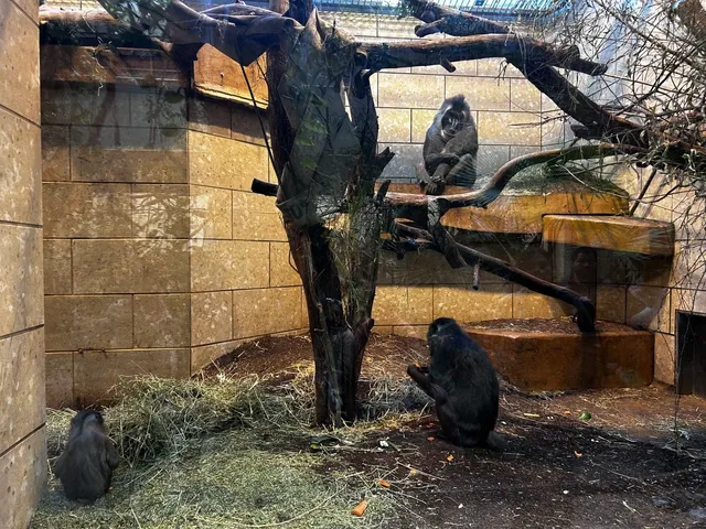 North Rhine-Westphalia's Zoos (1): Wuppertal Zoo 🦁🌿