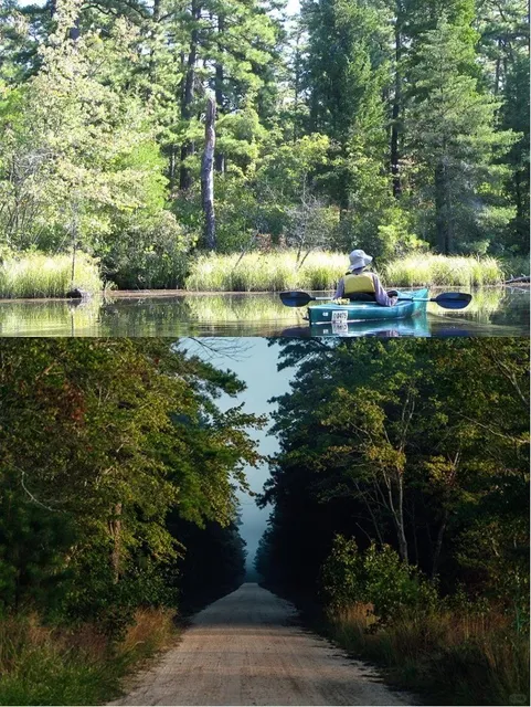 Beat the Heat: NYC’s Best Summer Escapes for Water Fun! 💦🌿