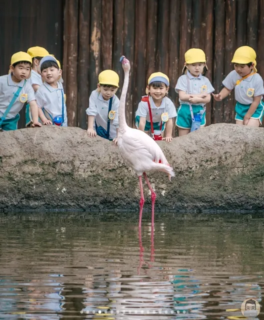 🦜 Kobe Animal Kingdom