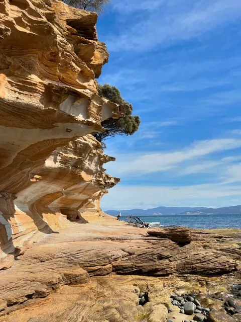 🏝️ Tasmania | The Heart-Shaped Island Forgotten by the World 💙