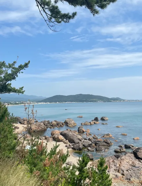 ​​🇰🇷 Extreme 1-Day Pohang Itinerary 「Exhausted🐭」​​  ​​