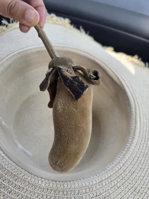 Half-Day Dakar Tour 🇸🇳 | Cruise Stop Adventure!