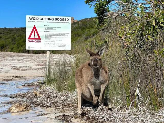 🌊 So Far, My Favorite Beach in Western Australia Has Finally Appeared