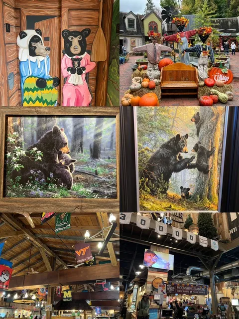 Autumn Memories in the Great Smoky Mountains 🍂🏔️