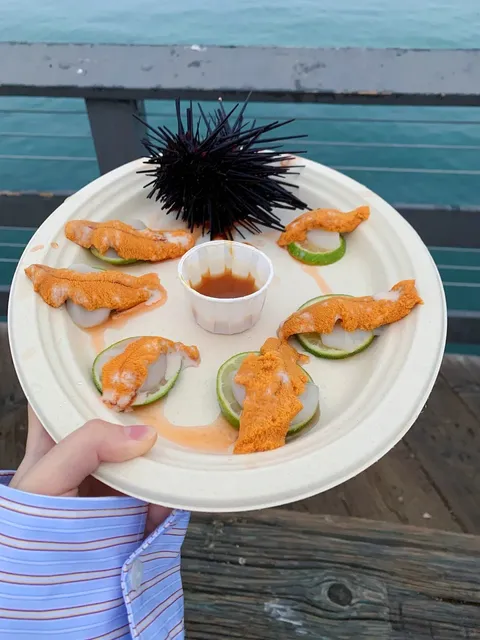 🌟 Santa Barbara 12-Hour Guide｜Sea Urchin Feast & Coastal Vibes 🐚☀️