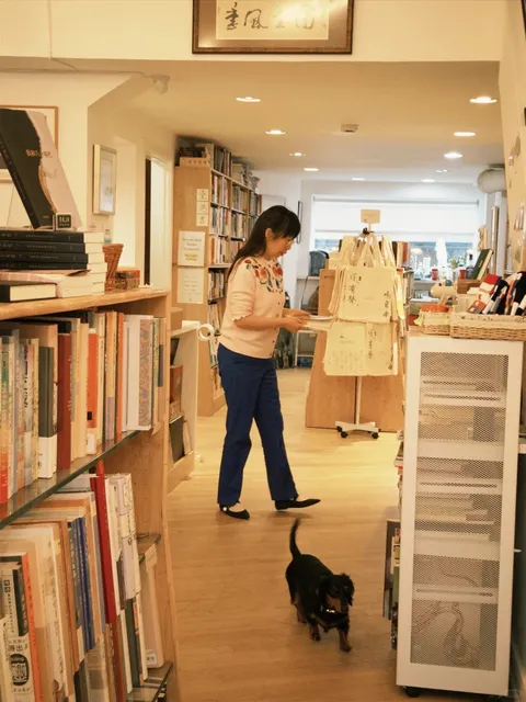 Independent Bookstore Guide | Must-Visit Literary Havens