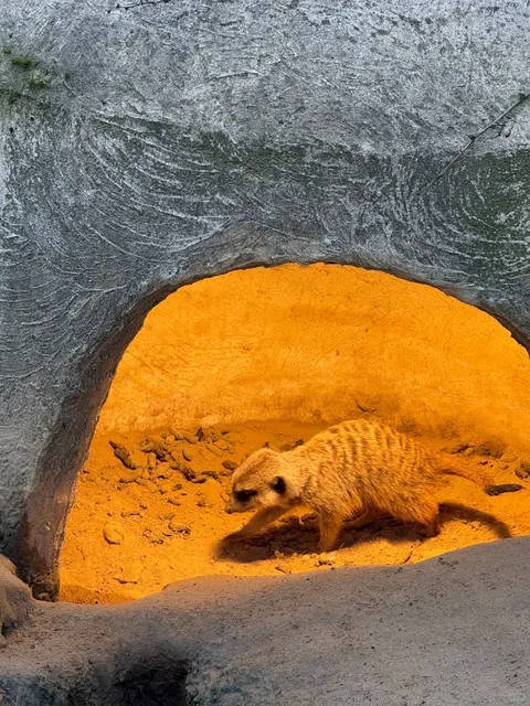 🇩🇪 Bochum's Quirky Zoo Adventure 🐾