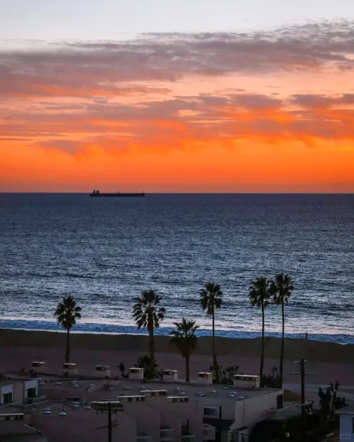 California Road Trip｜10-Day Itinerary from LA to San Francisco!