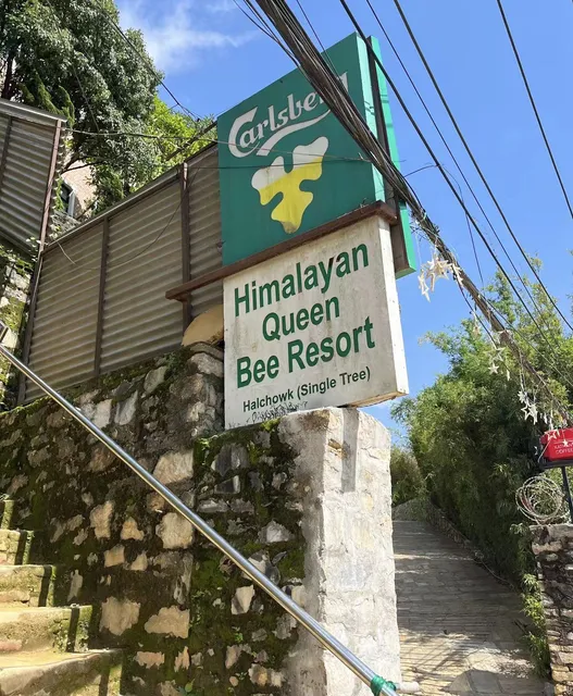 Nepal Kathmandu Off-the-Beaten-Path Spot | Single Tree 🌳