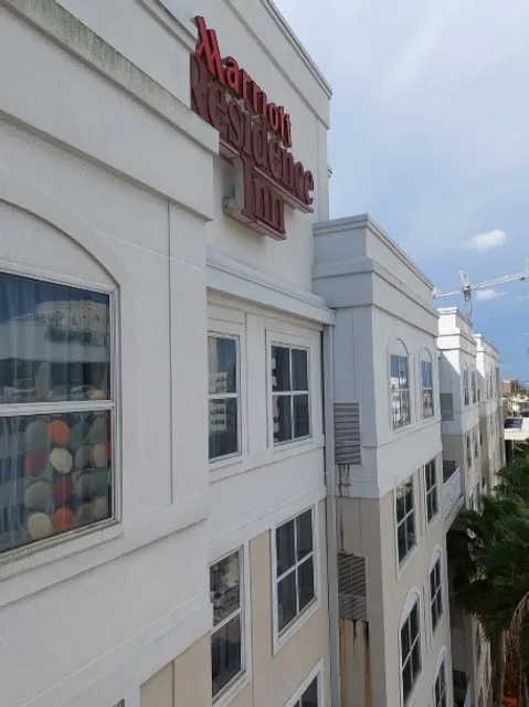 🏙️ A Surprise Find in Downtown Tampa