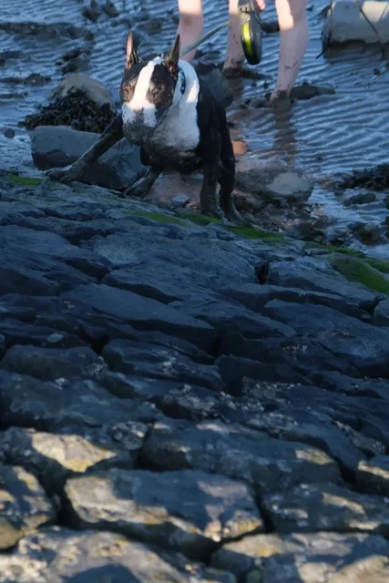 🇳🇱 Vlissingen: Where Winter Whispers Secrets to the North Sea