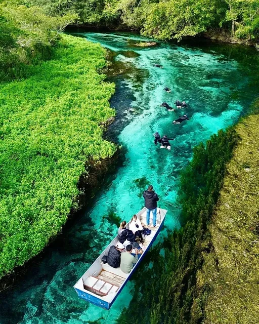 Bonito, Brazil 🇧🇷｜God's Aquarium