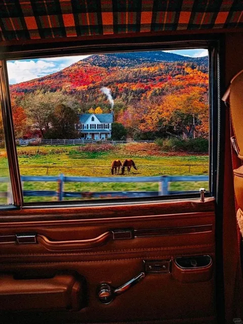 🍂 Say no more — this fall, I’m definitely going to Vermont! 🍁